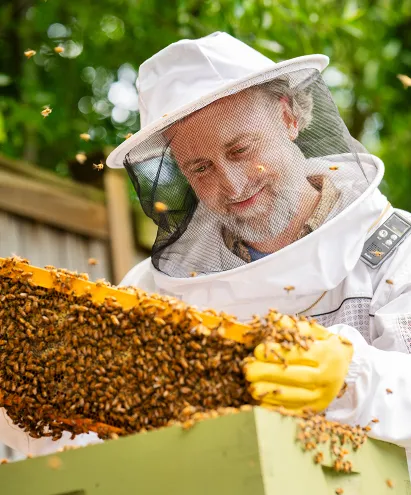 Man in beekeeper suit looking at his hive