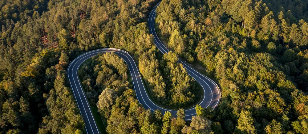Arial view of a winding road through the forest